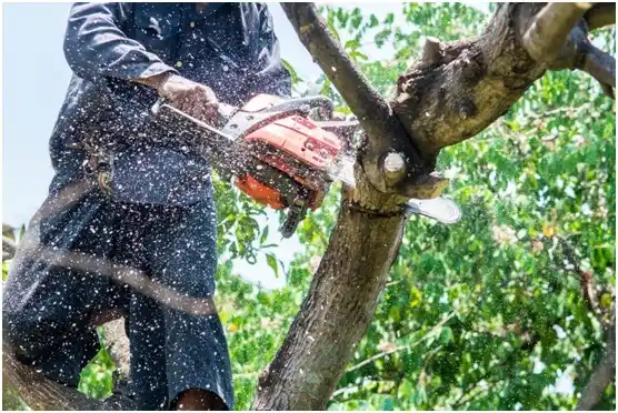 tree services Gadsden